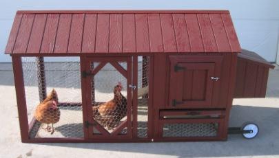 DIY Chicken Coops | ShedsNashville.com